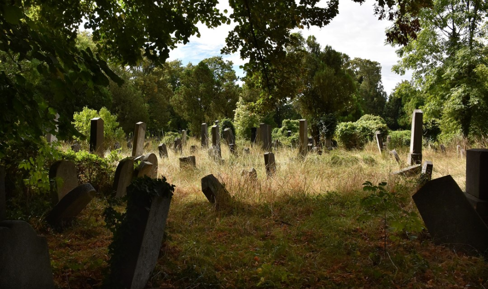 너와 나의 관계  thumbnail