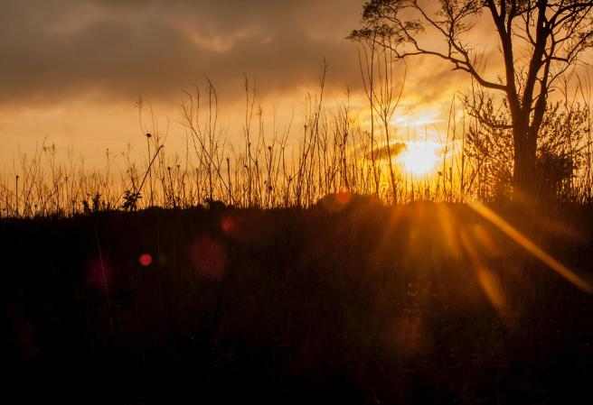 그 남자 thumbnail