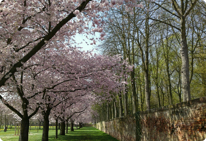 예나의 남친 (지어낸 이야기) thumbnail