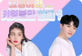 猫よ…育てるだけですか？ thumbnail