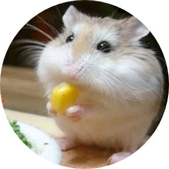 햄스터(김태형) image