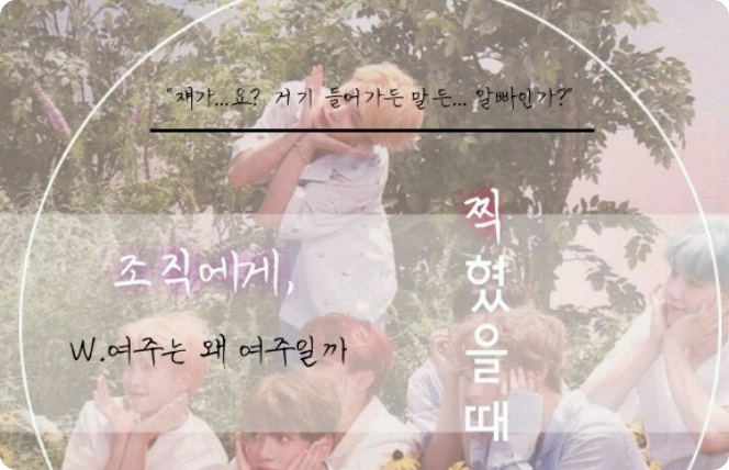 組織に撮影されたとき thumbnail