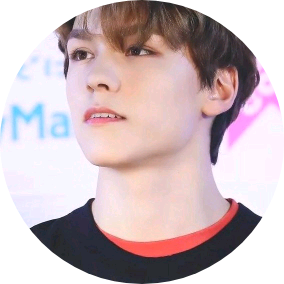 버논 image