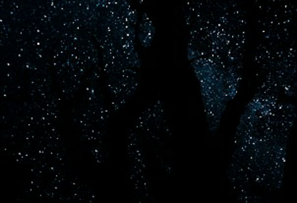 Personal color :  그대의 색채에 죽음을. thumbnail