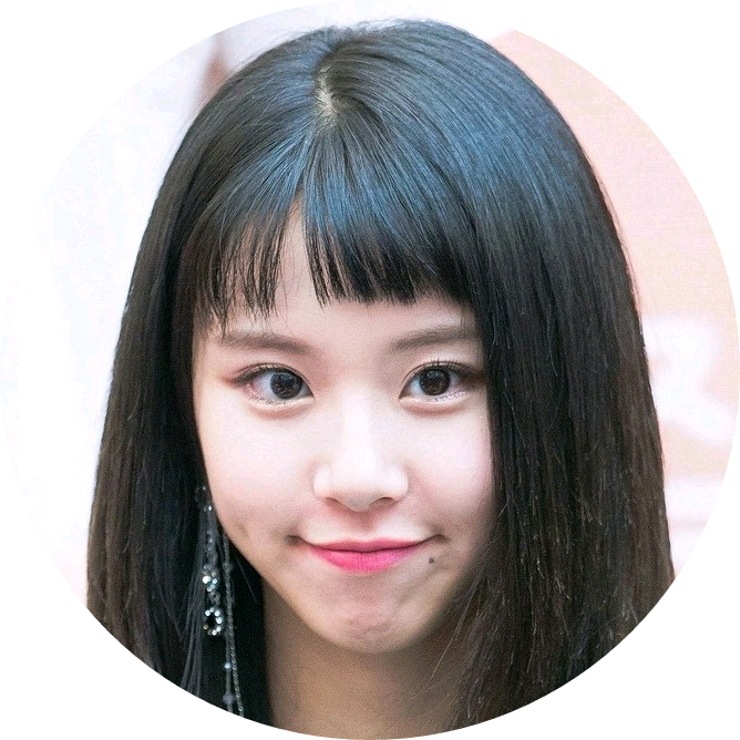 손채영 image