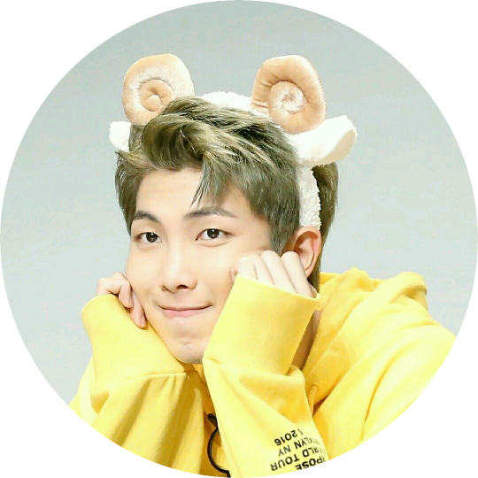 김남준(R.M) image