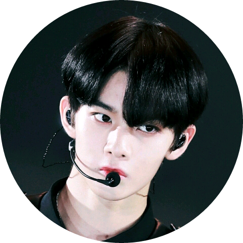 배진영(부보스 ) image