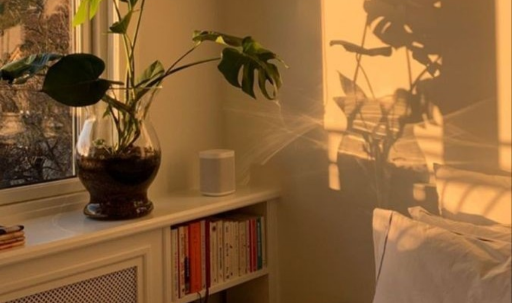 다시 하다 thumbnail