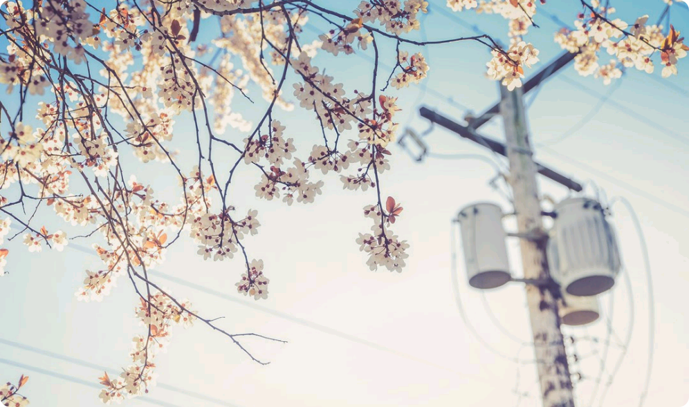 ¿Mi tipo ideal? Una mujer con un corazón bonito, no solo una cara bonita. thumbnail