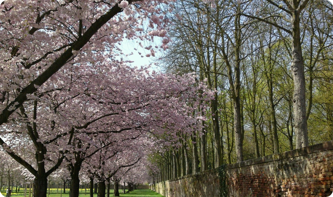 Qu'est-ce que tu es... pour faire battre mon cœur la chamade ? thumbnail