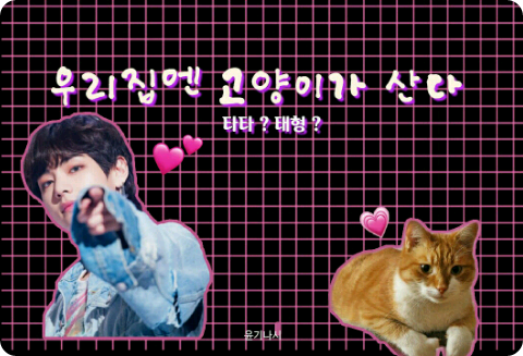 우리집엔 고양이가 산다 thumbnail