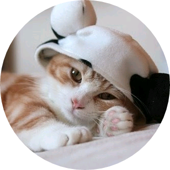 김여주 / 고양이 image