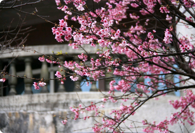 현짱작가, 또는 엑소백현짱을 아시는분은 들어와 주세요! thumbnail