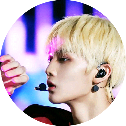 배진영 image