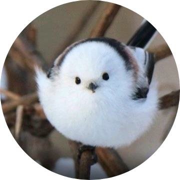 깜찍한자까 image