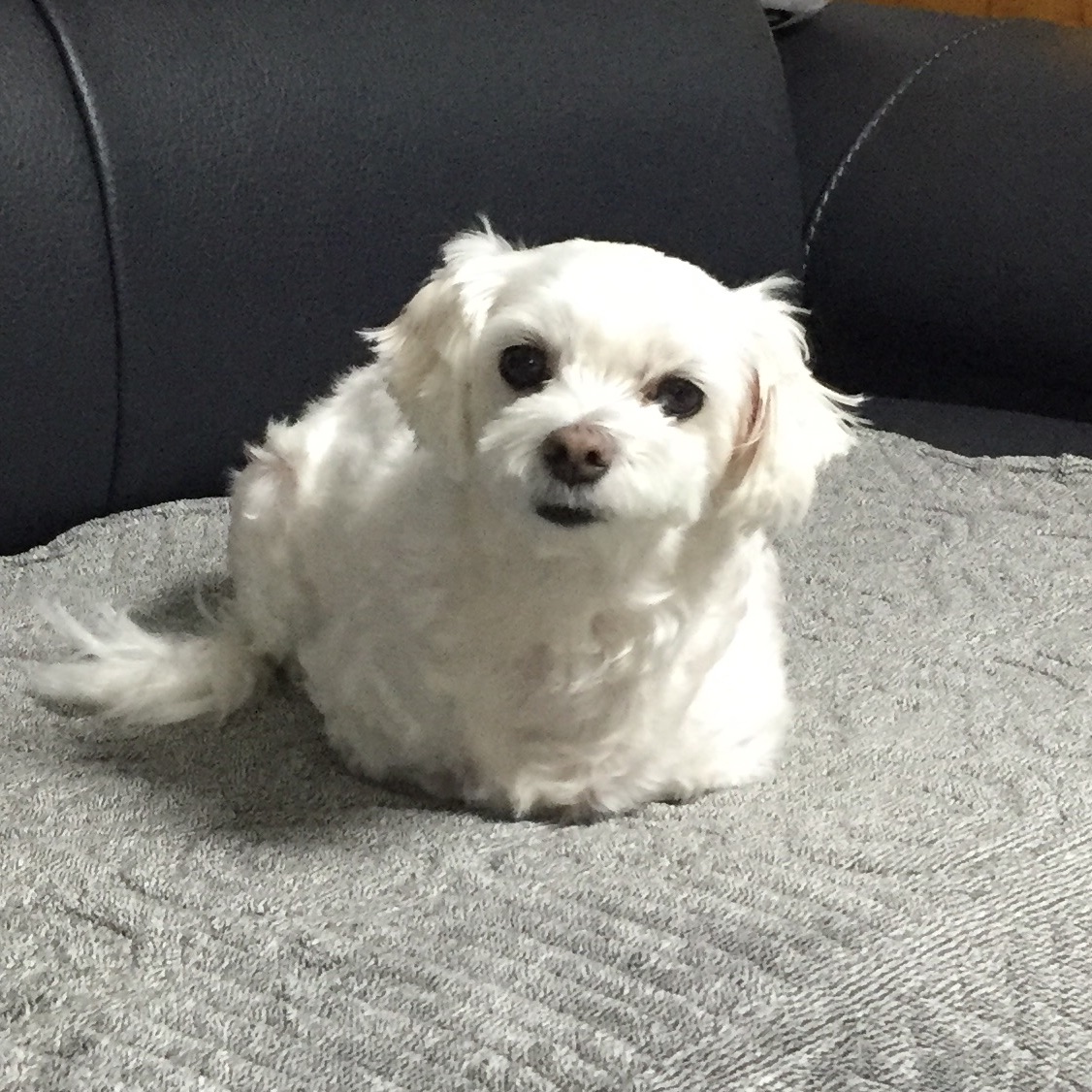 관종자까새퀴 image