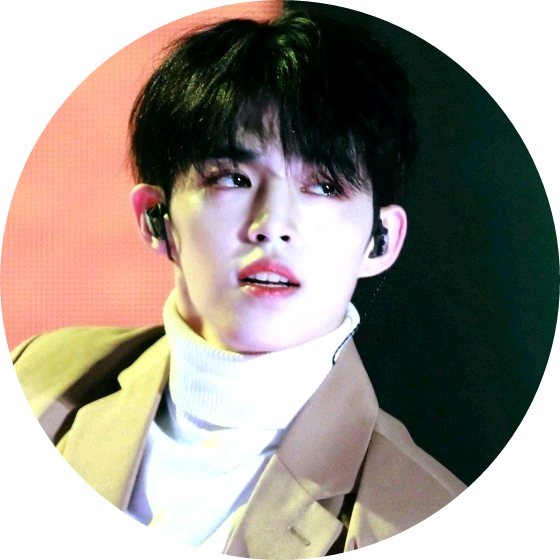 에스쿱스( 승철 ) image