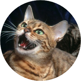 루나(네코냥이) image