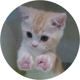 하린(네코냥이) image