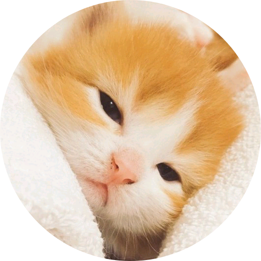 뷔밀스러운 image