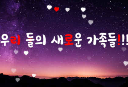 우리들의 새로운 가족들!!! thumbnail