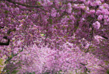완전한 가족이 되었다~ 모두 사랑해❤️ thumbnail