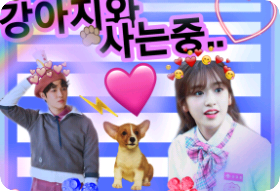 강아지와 사는중.. thumbnail