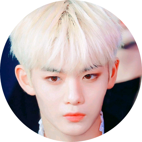 배진영 image