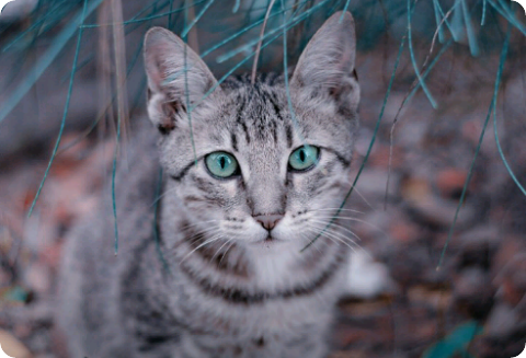 自分だけの特別な恋愛 thumbnail