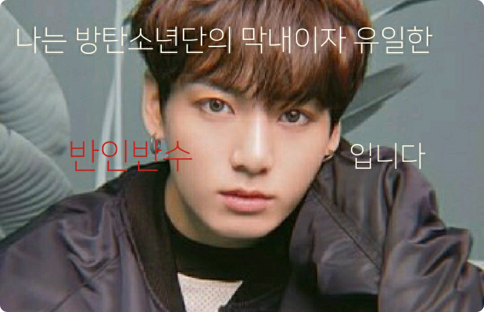 I am the youngest member of BTS and the only half-human, half-beast. thumbnail