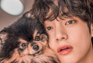 Buku Panduan Pengguna Kim Tae-hyung thumbnail