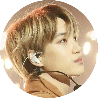 정기열(카이) image