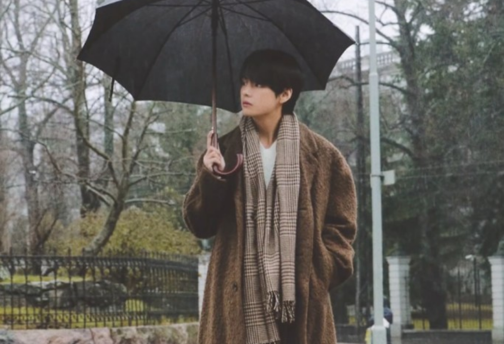 Sunflower orchid thumbnail