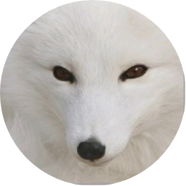 김태형/구미호 image