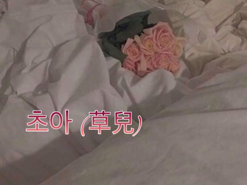 （ビョンベクヒョン）チョア（草兒）、達成できない愛 thumbnail