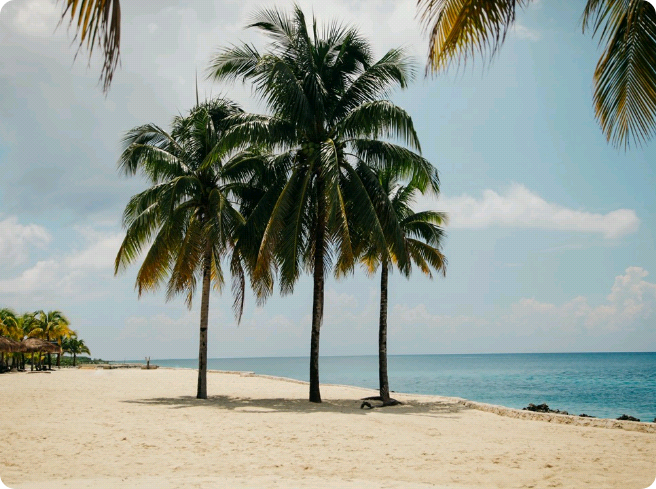 私の彼氏は私が好きです thumbnail