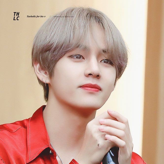 김태형 image
