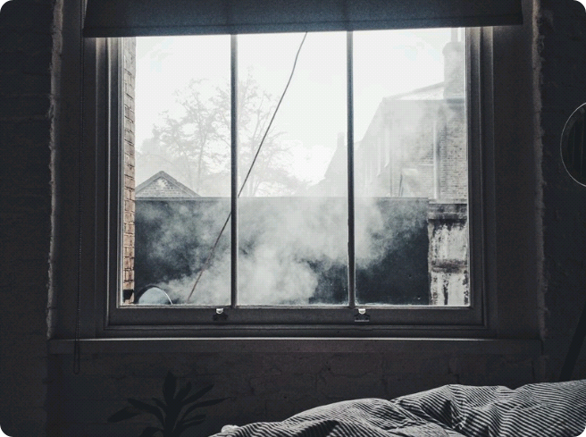 뱅트와이스 thumbnail