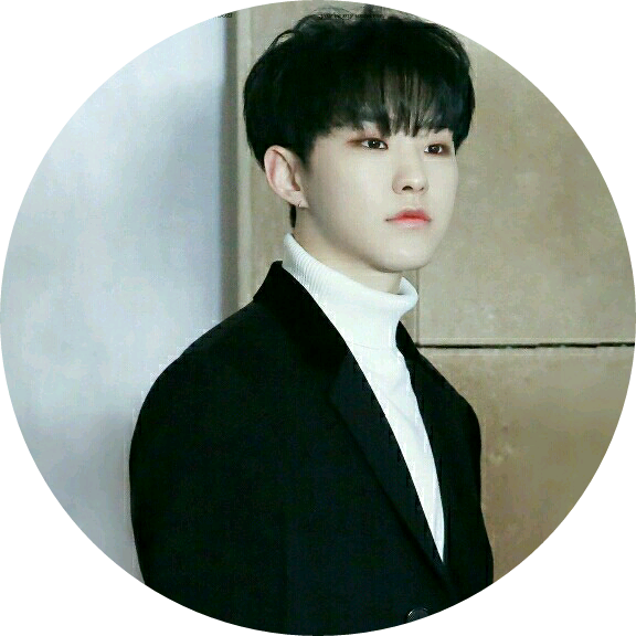 권순영/호시 image