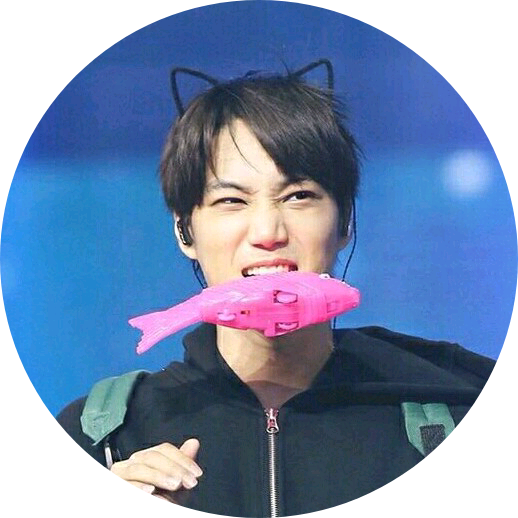 김종인(카이) image