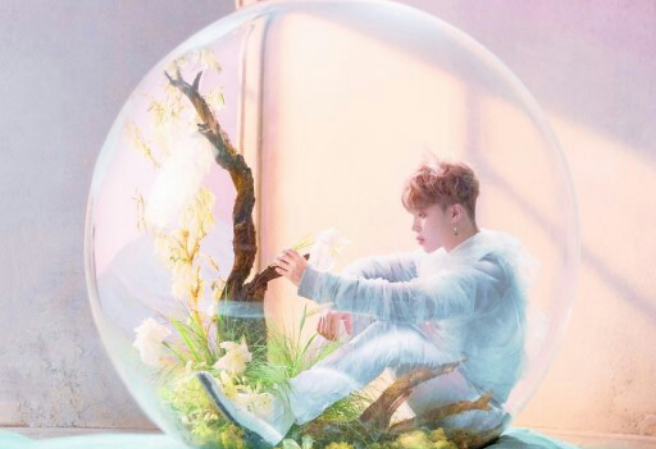 魔法使いは妖精だ thumbnail