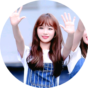 김채원 image