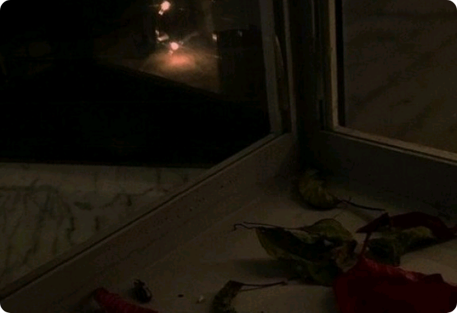 short story collection thumbnail