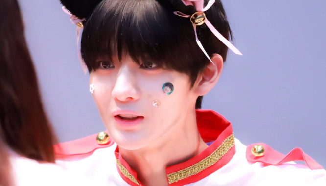 고양이의 진짜 모습, 배진영 thumbnail