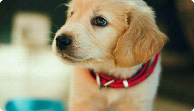 세븐틴 단편 - 나왔던 인물 또 나올수도있어요 이어서 thumbnail