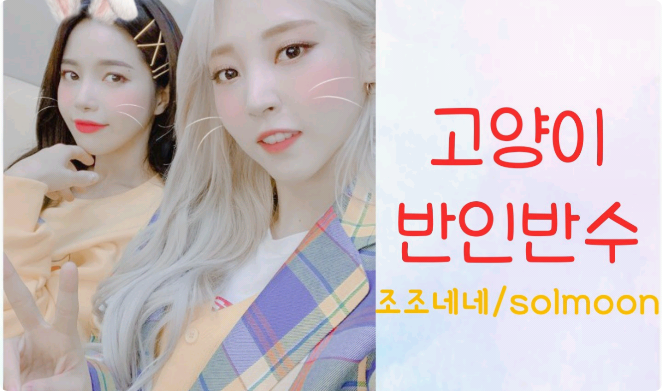 Kucing setengah manusia, setengah binatang thumbnail