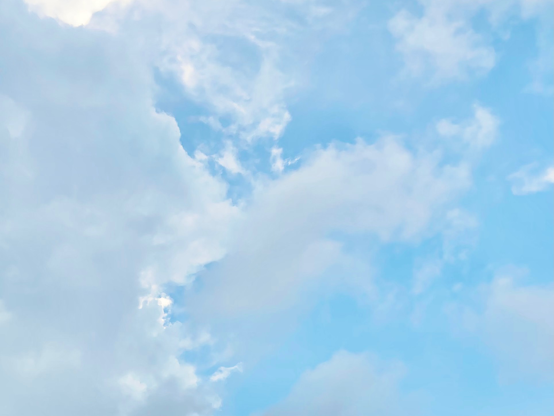 최연소 회사 대표로 살아남기 thumbnail