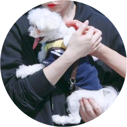 멍청한작가 image