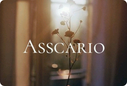 아스카리오 thumbnail