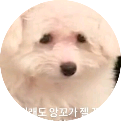 해 석 왕 댜 image